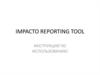 Impacto Reporting Tool. Инструкция по использованию