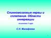 Спинномозговые нервы и сплетения. Области иннервации