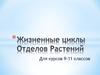 Жизненные циклы отделов растений