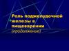 Роль поджелудочной железы в пищеварении
