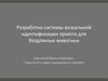 Разработка системы визуальной идентификации приюта для бездомных животных