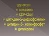 Цитихолин. Системные эффекты цитихолина