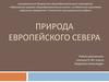 Природа Европейского Севера