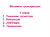 Этапы процесса транскрипции в генетике. (Лекция 16)