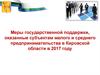 Меры государственной поддержки, оказанные субъектам малого и среднего предпринимательства в Кировской области в 2017 году