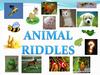 Animal riddle