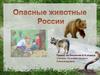 Опасные животные России
