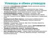 Углеводы и обмен углеводов
