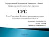 Структура, функции и принципы реализации мониторно-компьютерных систем