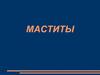 Маститы. Анатомия и физиология молочной железы