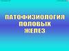 Патфизиология половых желез