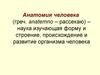Анатомия человека