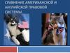 Сравнение американской и английской правовой системы