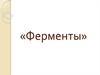 Ферменты. Свойства ферментов