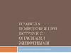 Правила поведения при встрече с опасными животными