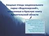 Хищные птицы национального парка «Водлозерский», занесенные в Красную книгу Архангельской области