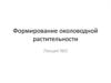Формирование околоводной растительности