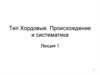 Тип Хордовые. Происхождение и систематика
