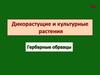 Дикорастущие и культурные растения