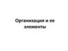 Организация и ее элементы