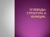 Углеводы: структура и функции
