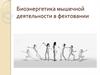 Биоэнергетика мышечной деятельности в фехтовании