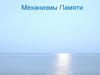 Механизмы памяти