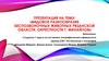 Видовое разнообразие беспозвоночных животных Рязанской области