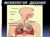 Физиология дыхания