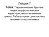 Паразитические Круглые черви. Морфологическая характеристика и жизненные циклы. Лабораторная диагностика гельминтозов у человека