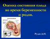 Оценка состояния плода во время беременности и родов