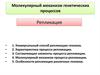 Молекулярный механизм генетических процессов. Репликация. (Лекция 10)