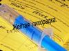 Желтая лихорадка