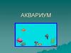 Аквариум