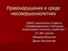 Правонарушения в среде несовершеннолетних