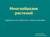 Многообразие растений. Водоросли, мхи, папоротники, хвойные, цветковые
