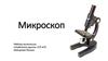 Микроскоп. Виды микроскопов