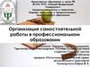 Организация самостоятельной работы в профессиональном образовании