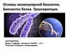 Основы молекулярной биологии. Биосинтез белка. Транскрипция