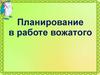 Планирование в работе вожатого в детском лагере