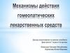 Механизмы действия гомеопатических лекарственных средств