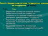 Бюджетная система государства, основы ее построения