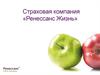 Страховая компания «Ренессанс Жизнь»