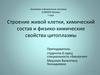 Строение живой клетки, химический состав и физико-химические свойства цитоплазмы
