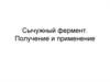 Сычужный фермент. Получение и применение