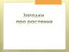 Загадки про растения