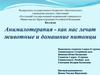 Анималотерапия - как нас лечат животные и домашние питомцы