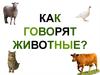 Как говорят животные (для дошкольников)