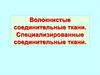 Волокнистые соединительные ткани. Специализированные соединительные ткани