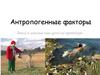 Антропогенные факторы